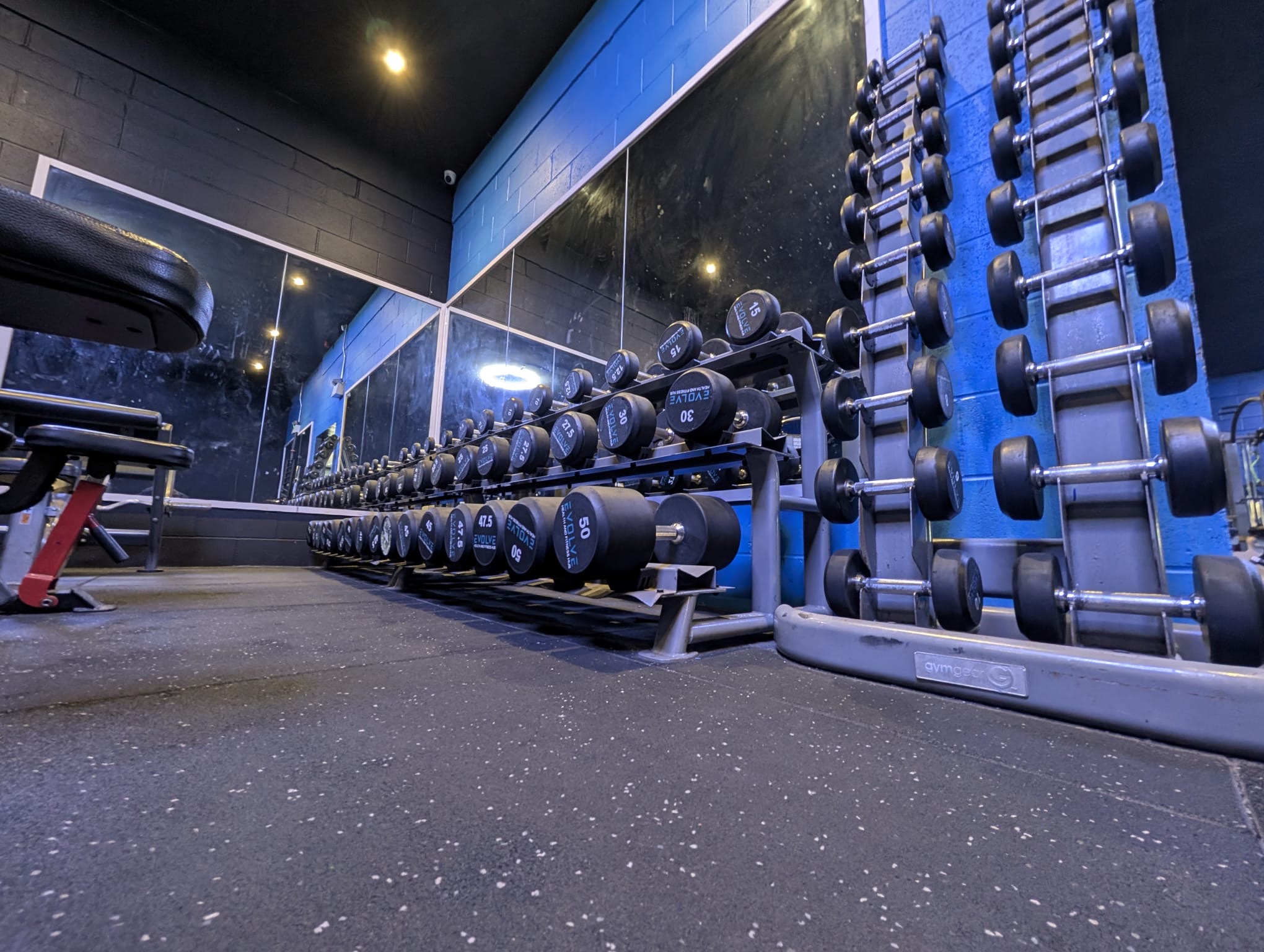 Free Weights